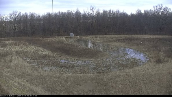 Cell 4_24-02-09_10-00-59-95