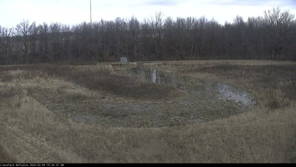 Cell 4_24-02-09_10-34-27-93