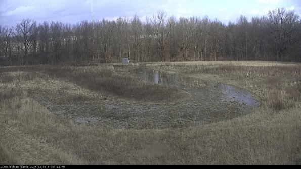 Cell 4_24-02-09_11-41-25-94