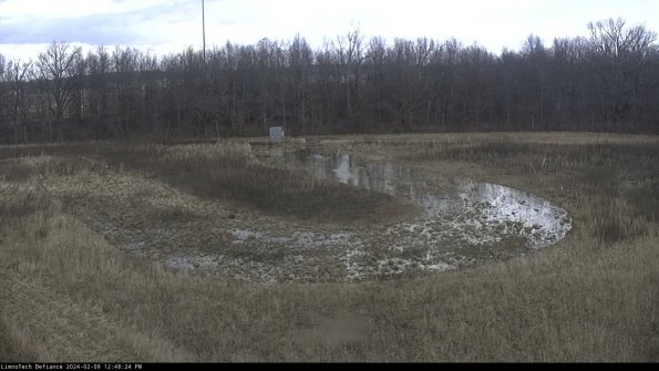 Cell 4_24-02-09_12-48-24-94