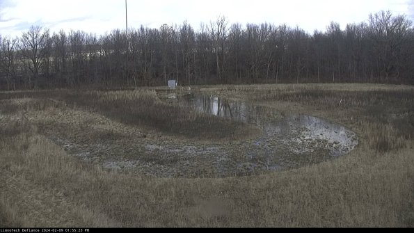 Cell 4_24-02-09_13-55-23-95