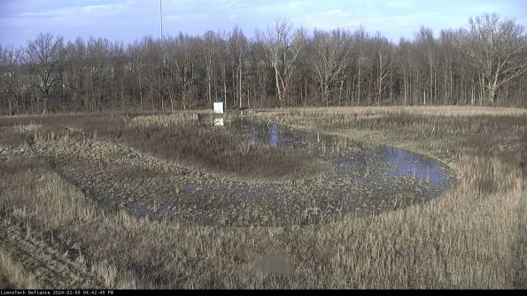 Cell 4_24-02-09_16-42-49-91