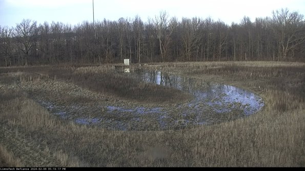 Cell 4_24-02-09_17-16-17-93