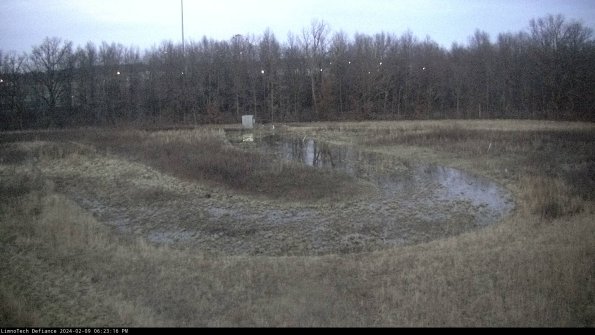 Cell 4_24-02-09_18-23-16-94