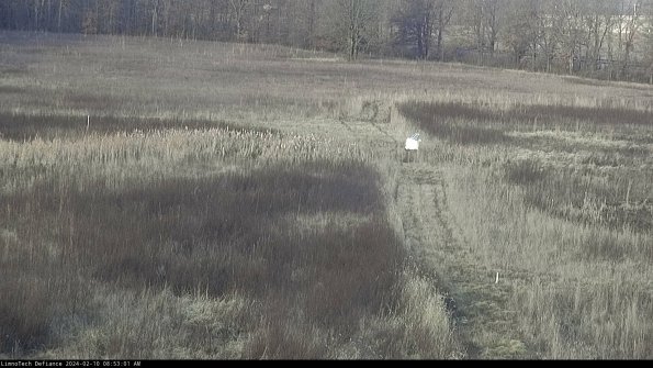 Cell 1 to 2_24-02-10_08-53-01-93