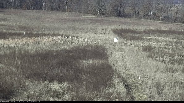 Cell 1 to 2_24-02-10_09-59-59-93