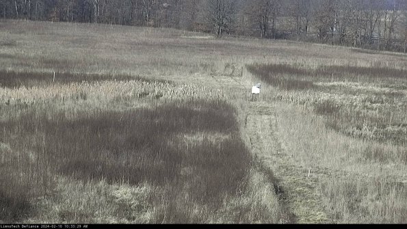 Cell 1 to 2_24-02-10_10-33-29-94