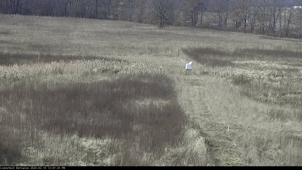 Cell 1 to 2_24-02-10_12-47-25-91