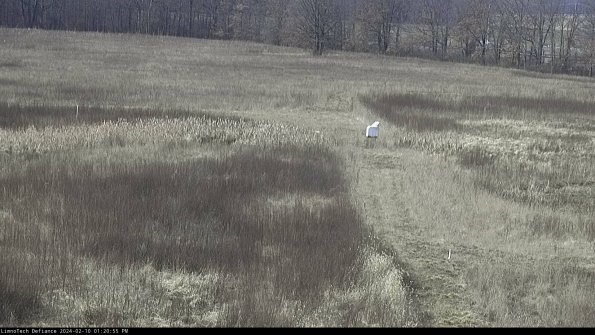 Cell 1 to 2_24-02-10_13-20-55-93