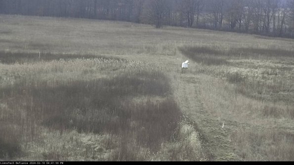 Cell 1 to 2_24-02-10_16-41-50-90