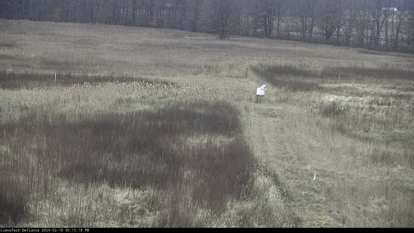 Cell 1 to 2_24-02-10_17-15-19-95