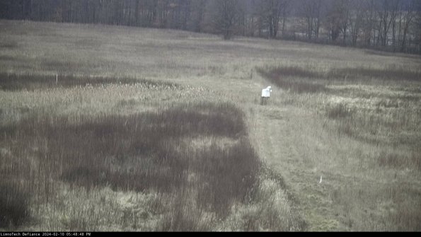 Cell 1 to 2_24-02-10_17-48-48-93