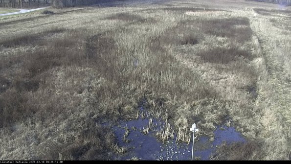 Cell 1_24-02-10_09-26-15-93