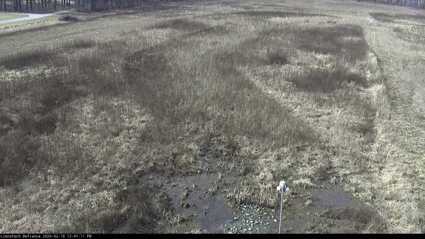 Cell 1_24-02-10_12-47-11-90