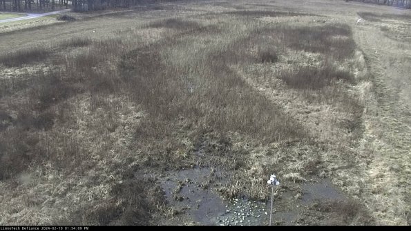 Cell 1_24-02-10_13-54-09-94