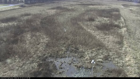 Cell 1_24-02-10_14-27-39-92