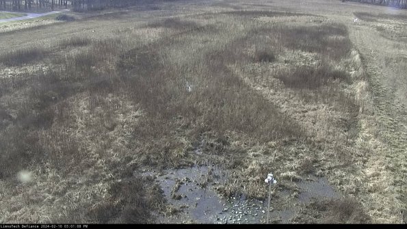 Cell 1_24-02-10_15-01-08-94