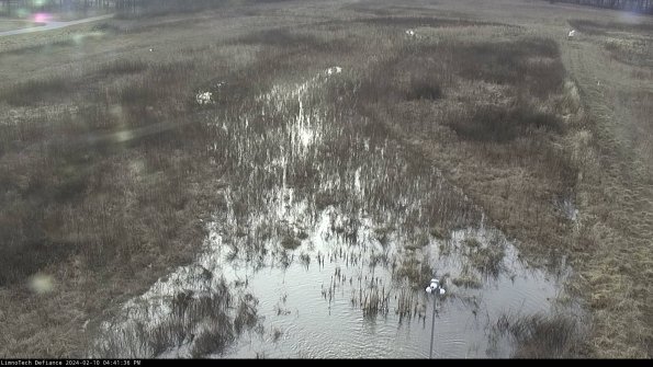 Cell 1_24-02-10_16-41-36-92