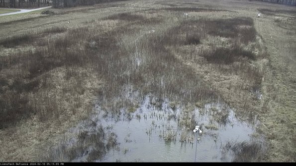 Cell 1_24-02-10_17-15-05-94