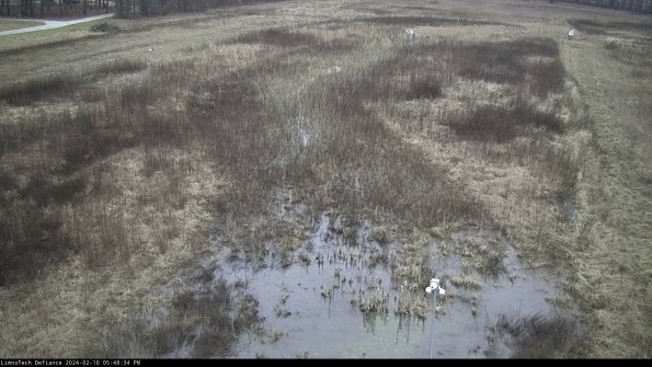 Cell 1_24-02-10_17-48-34-95