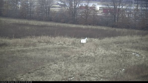 Cell 2 to 3_24-02-10_07-46-29-06