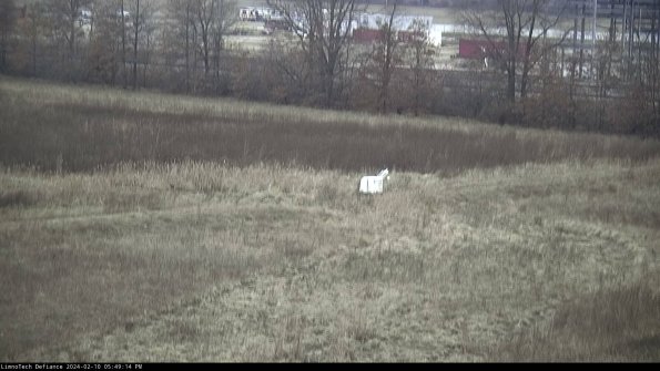 Cell 2 to 3_24-02-10_17-49-15-02