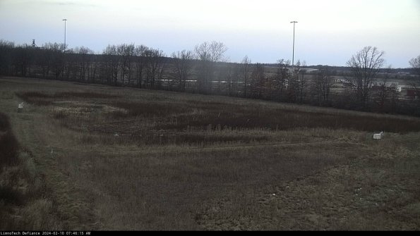 Cell 2_24-02-10_07-46-15-95