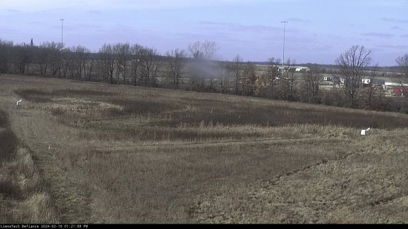 Cell 2_24-02-10_13-21-08-95