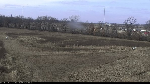 Cell 2_24-02-10_13-54-37-00