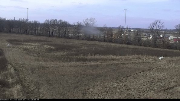 Cell 2_24-02-10_14-28-06-95