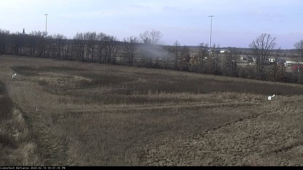 Cell 2_24-02-10_15-01-36-00