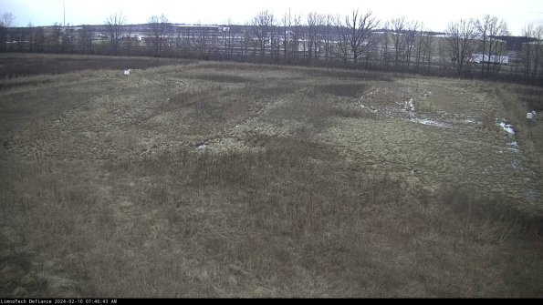 Cell 3_24-02-10_07-46-43-94