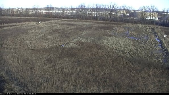 Cell 3_24-02-10_08-53-42-21