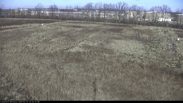 Cell 3_24-02-10_10-34-10-92