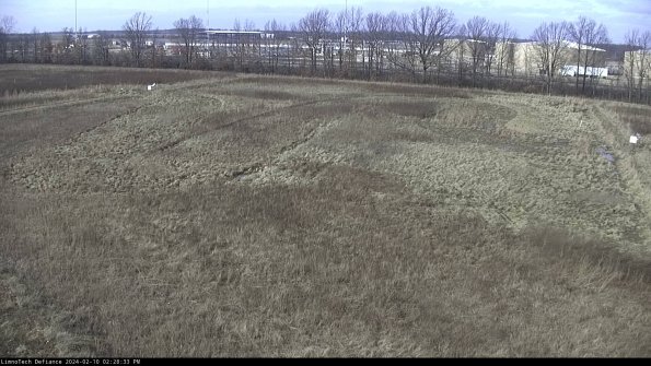 Cell 3_24-02-10_14-28-34-18