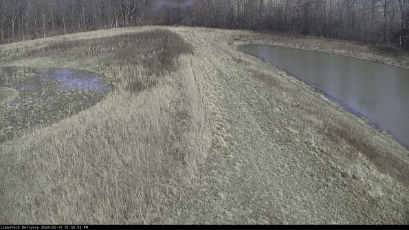 Cell 4 to Basin_24-02-10_13-56-02-95