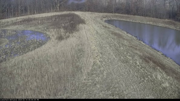 Cell 4 to Basin_24-02-10_16-09-59-92