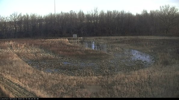 Cell 4_24-02-10_08-20-40-92