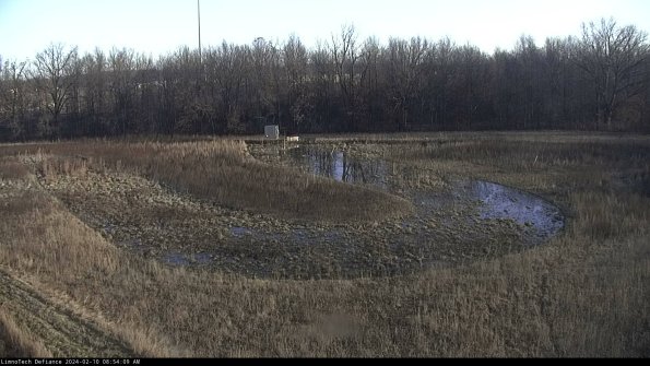 Cell 4_24-02-10_08-54-09-93