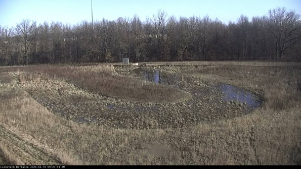 Cell 4_24-02-10_09-27-38-95