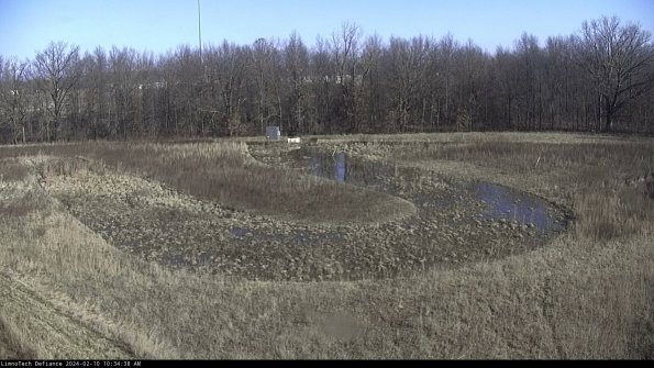 Cell 4_24-02-10_10-34-38-91