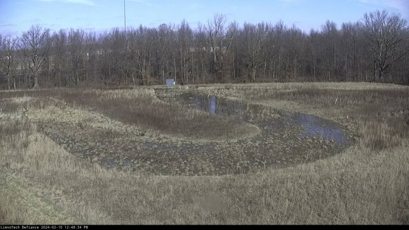 Cell 4_24-02-10_12-48-34-95