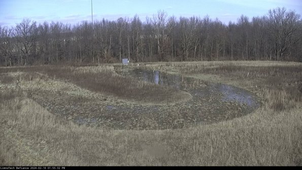 Cell 4_24-02-10_13-55-32-92