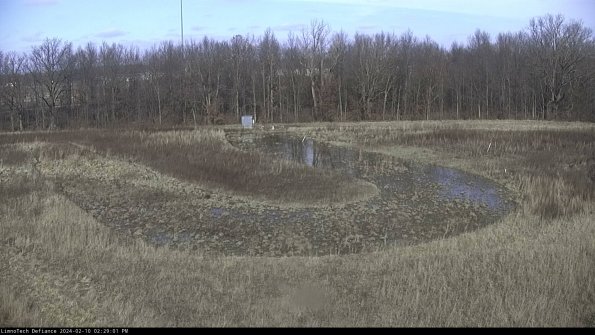 Cell 4_24-02-10_14-29-01-94