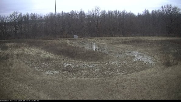 Cell 4_24-02-10_17-49-57-93