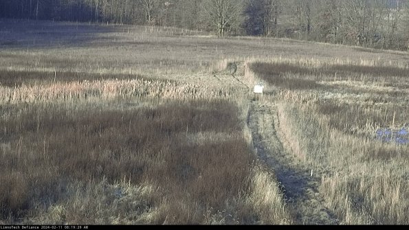 Cell 1 to 2_24-02-11_08-19-29-95