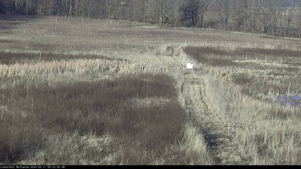 Cell 1 to 2_24-02-11_08-52-58-93