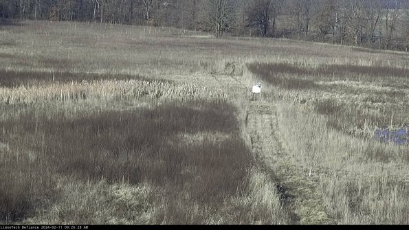 Cell 1 to 2_24-02-11_09-26-28-94