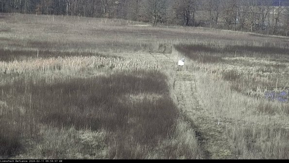 Cell 1 to 2_24-02-11_09-59-57-93