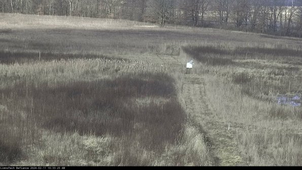 Cell 1 to 2_24-02-11_10-33-25-91